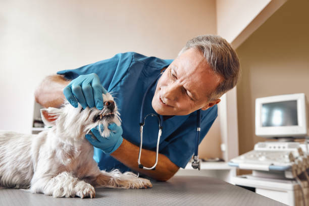 Best Walk-In Emergency Dental Services in Muniz, TX